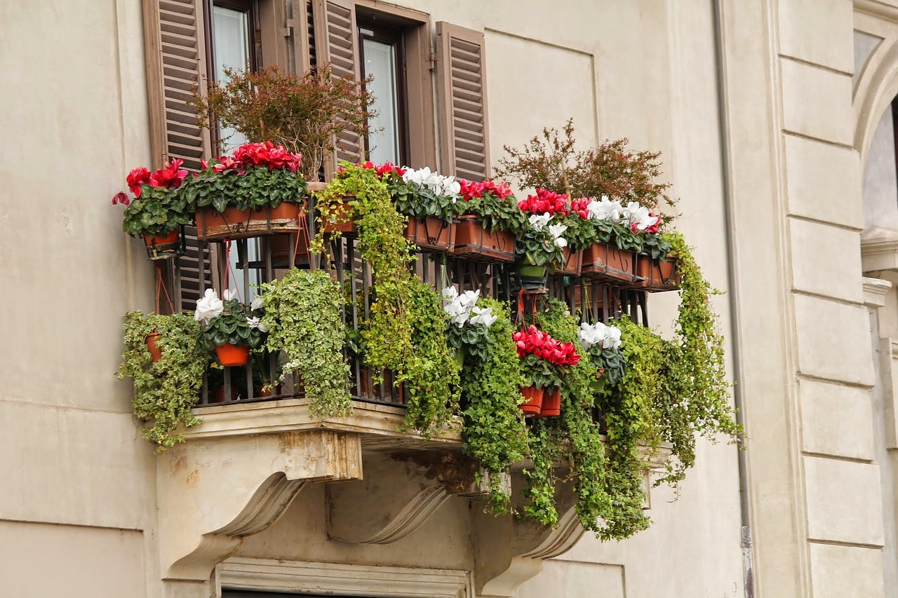 “Capurso Borgo in Fiore”: parte il primo concorso per abbellire il centro storico. Il sindaco Laricchia: “È un gesto d’amore per la nostra città”.